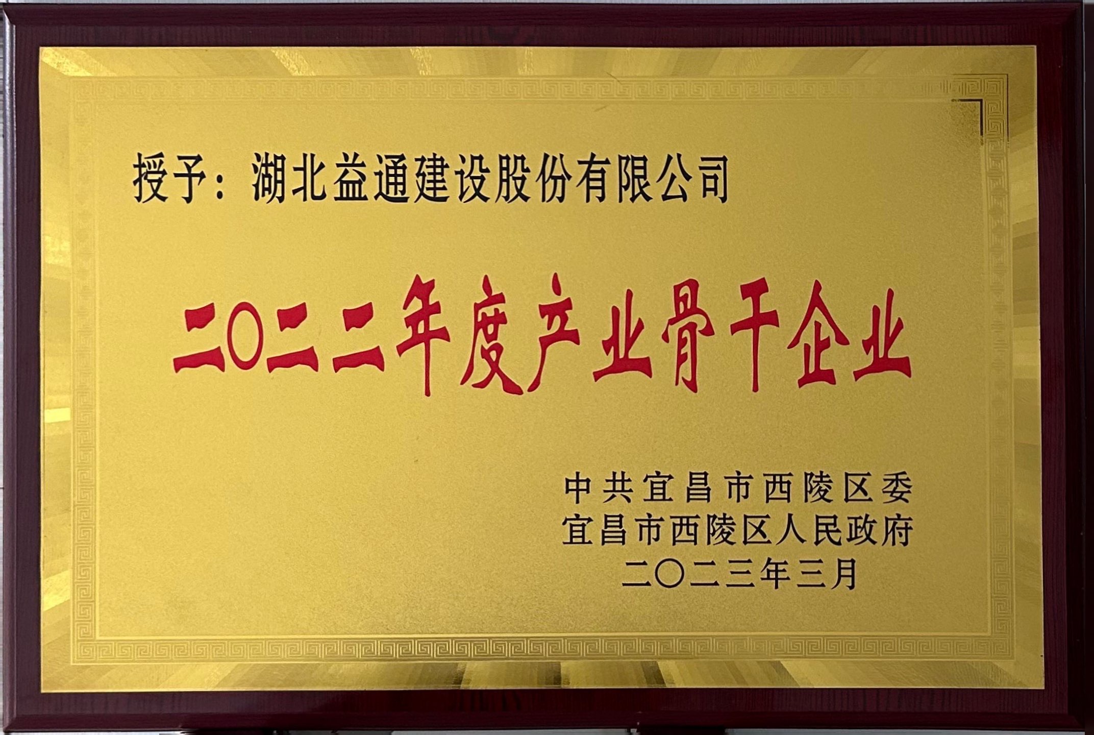 產(chǎn)業(yè)骨干企業(yè)